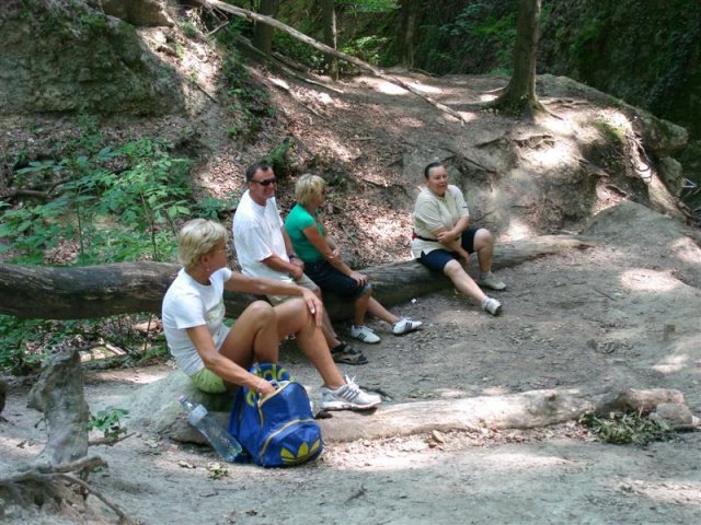 DSC05855 (Medium)